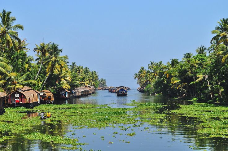 Kerela , South India