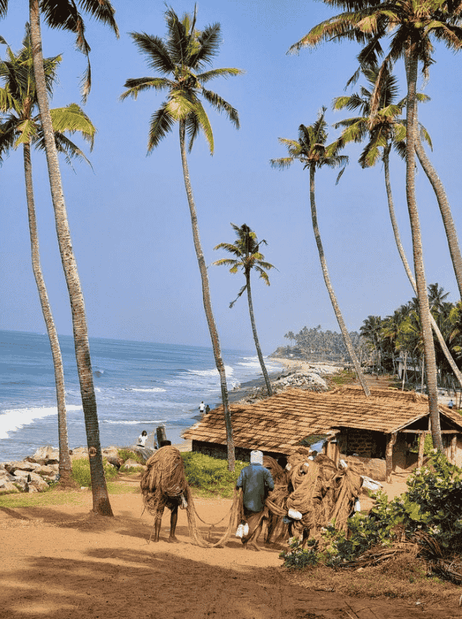 kochi coast