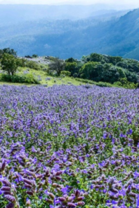 Untitled-designuuh-200×300